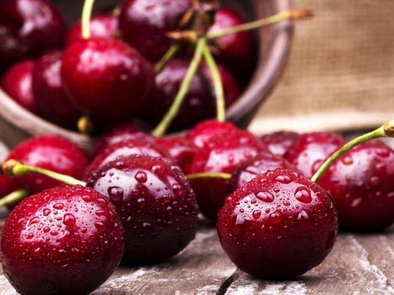 Вишня купить саженцы из питомника в Буйнакске